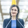V. Čmilytė-Nielsen apie sprendimą dėl VSD pranešėjo komisijos: kai kurios išvados verčia šyptelėti 