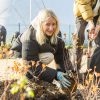 Vilniečiai kviečiami į pavasarinę talką Žirmūnuose: bus sodinama daugiau nei 2100 krūmų