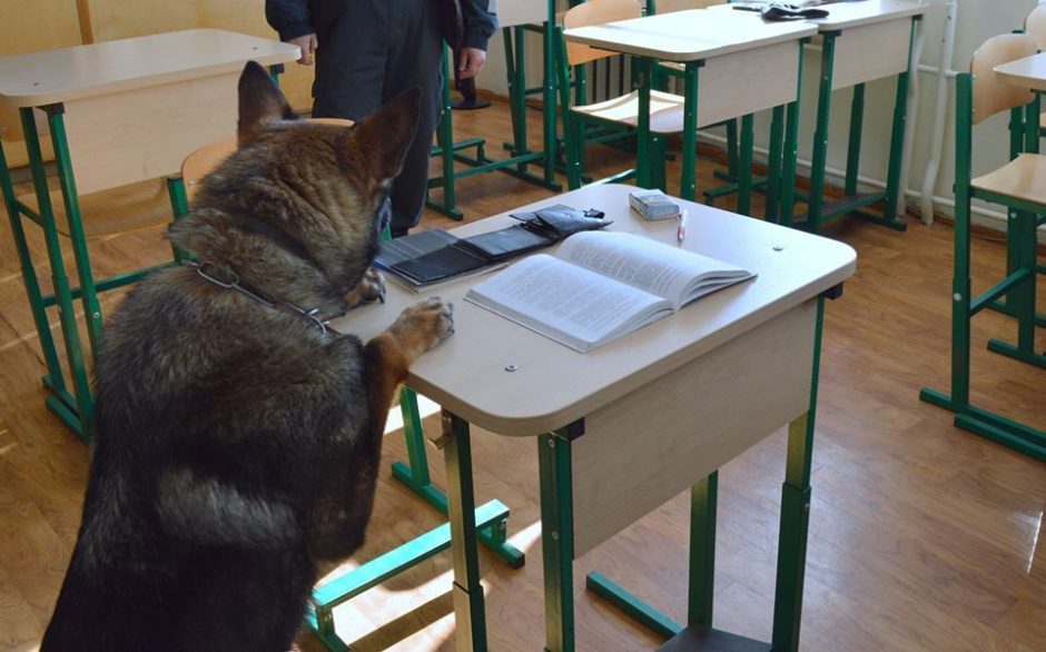 Tarnybinis šuo tarp moksleivio daiktų aptiko narkotikų