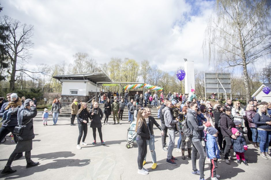 Zoologijos sodo sezono atidarymas: nauji namai vilkams ir burbulų fiesta