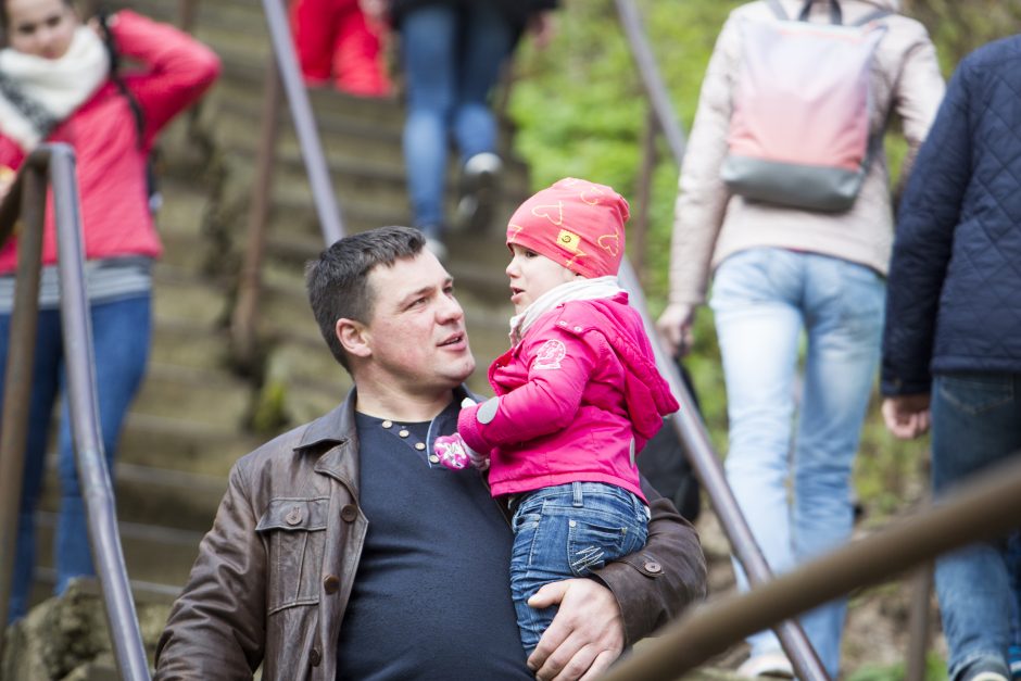 Zoologijos sodo sezono atidarymas: nauji namai vilkams ir burbulų fiesta