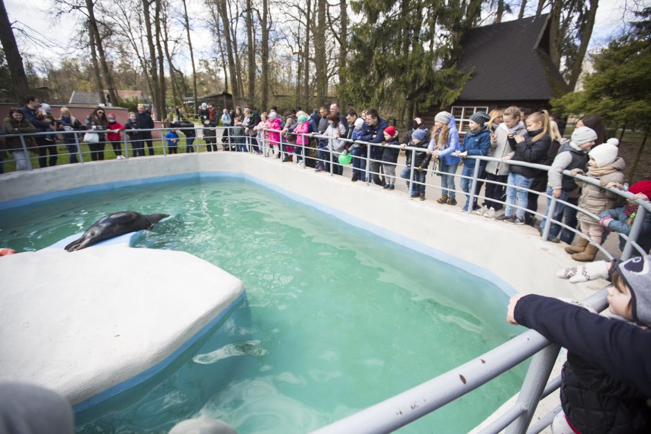 Zoologijos sodo sezono atidarymas: nauji namai vilkams ir burbulų fiesta