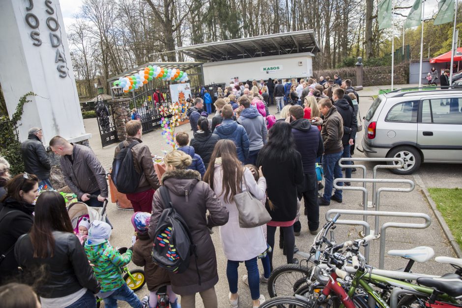 Zoologijos sodo sezono atidarymas: nauji namai vilkams ir burbulų fiesta