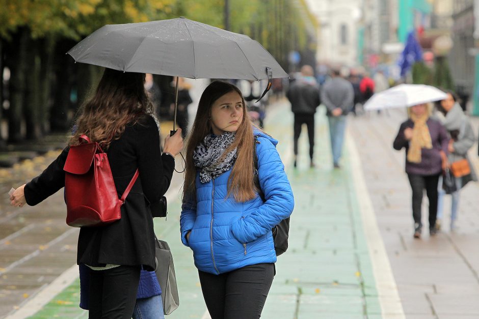 Studentai miestiečiams dalijo šimtmečio moliūgienę