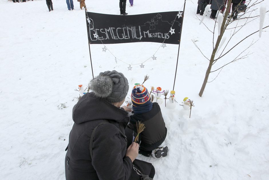 Pasaulinė sniego diena Pažaislyje