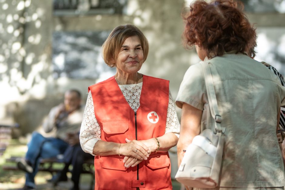 Piknikas Prezidentūros kiemelyje