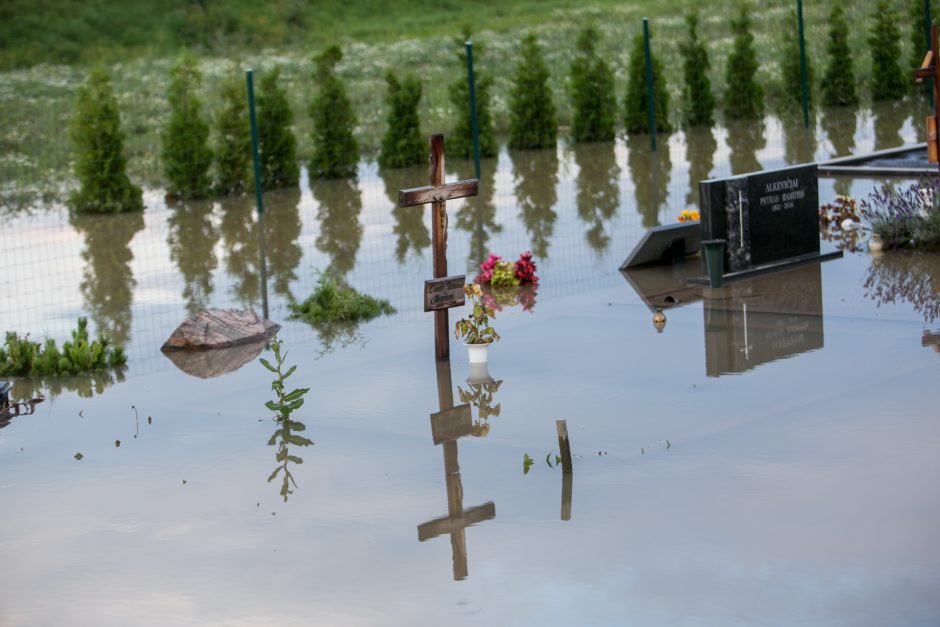 Vainatrakio kapinėse apsilankęs kaunietis: situacija čia siaubinga