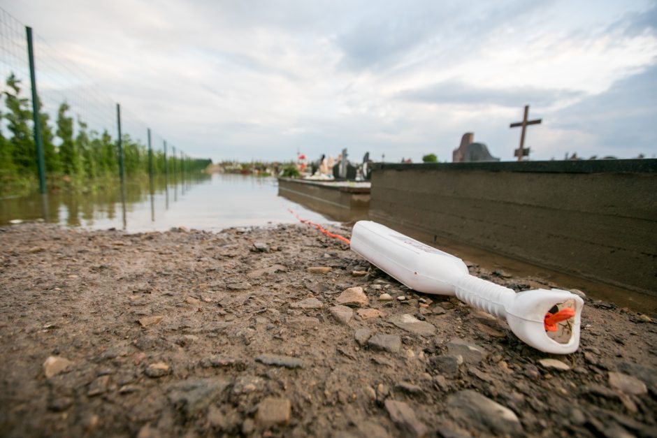 Vainatrakio kapinėse apsilankęs kaunietis: situacija čia siaubinga