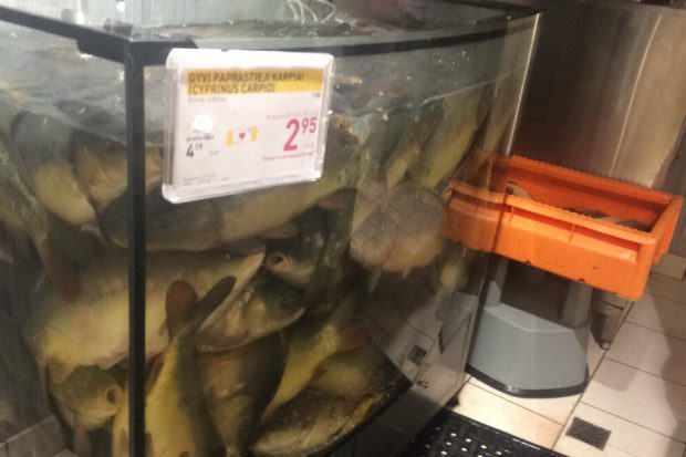 Dėl traumuojamų žuvų – sankcijos prekybos centrui