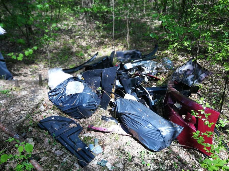 Pakaunės miškuose dygsta ne grybai, o šiukšlės: aptinka net ir apynaujų baldų