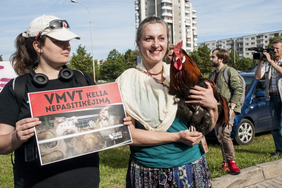 Gyvūnų teisių gynėjai protestavo prie Maisto ir veterinarijos tarnybos