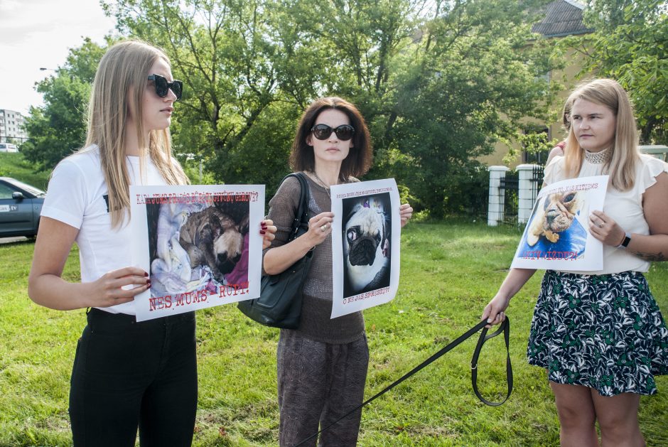 Gyvūnų teisių gynėjai protestavo prie Maisto ir veterinarijos tarnybos