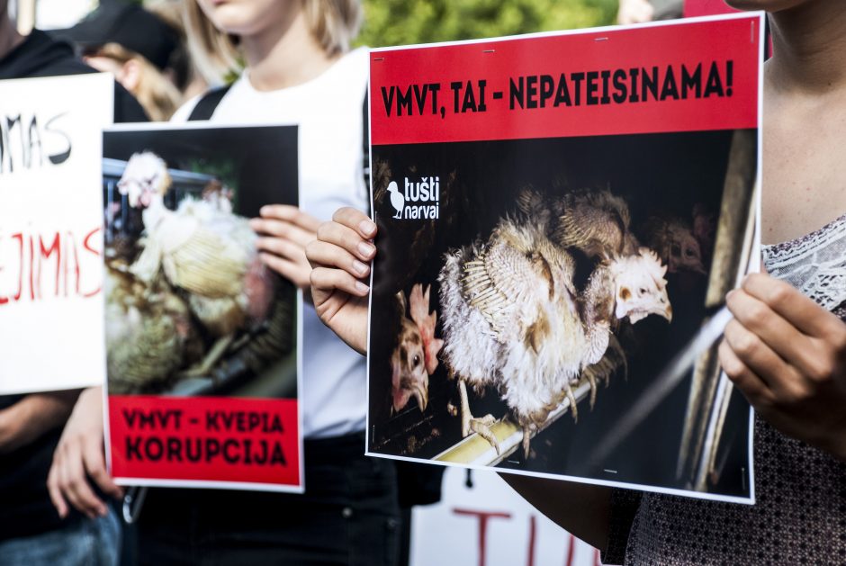 Gyvūnų teisių gynėjai protestavo prie Maisto ir veterinarijos tarnybos