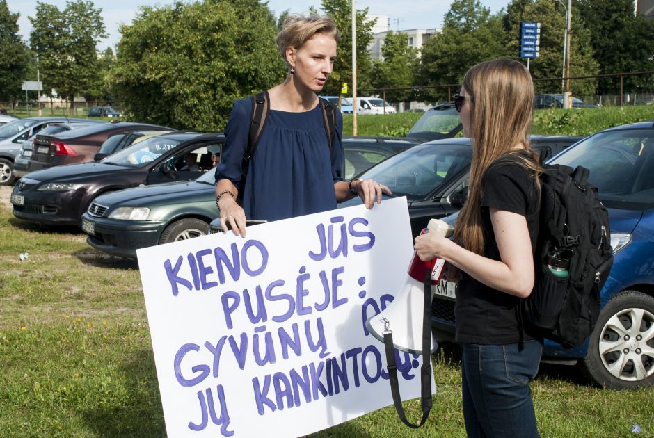 Gyvūnų teisių gynėjai protestavo prie Maisto ir veterinarijos tarnybos