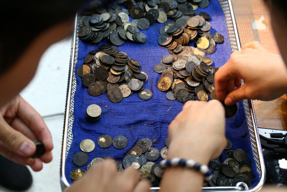 Neįtikėtina: veterinarai jūrinio vėžlio skrandyje rado 915 monetų