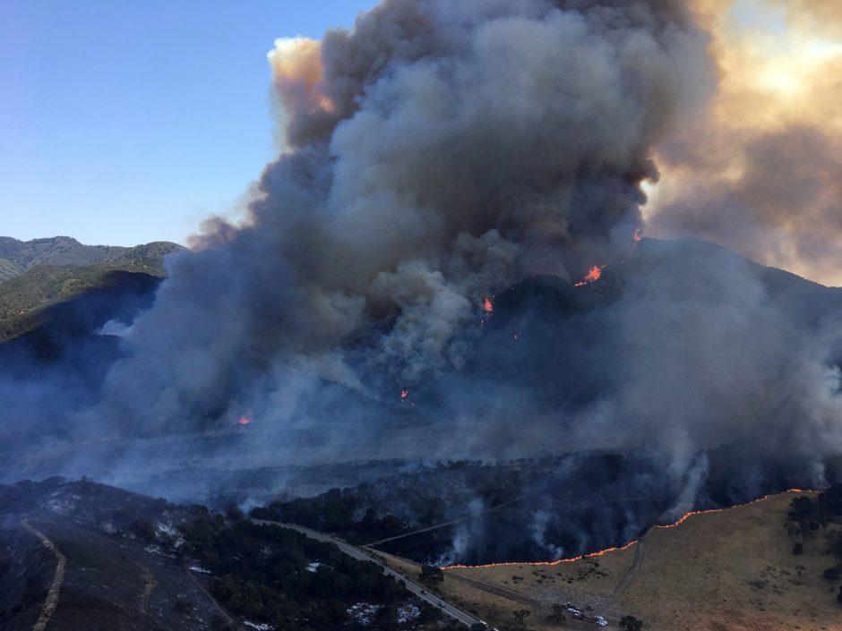 Karščio alinamoje Kalifornijoje siautėja miškų gaisrai