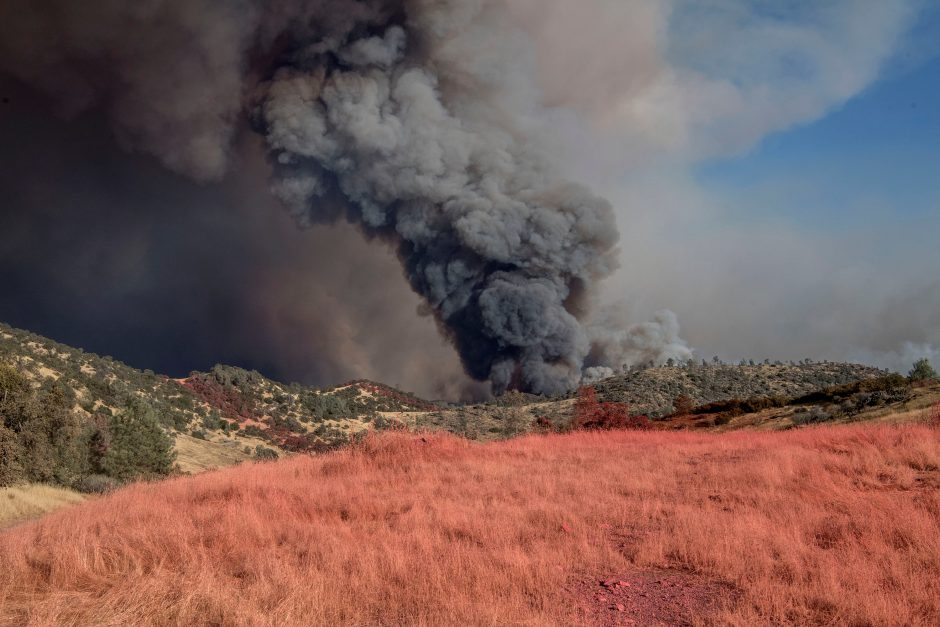 Kalifornijoje dėl miškų gaisrų paskelbta nepaprastoji padėtis