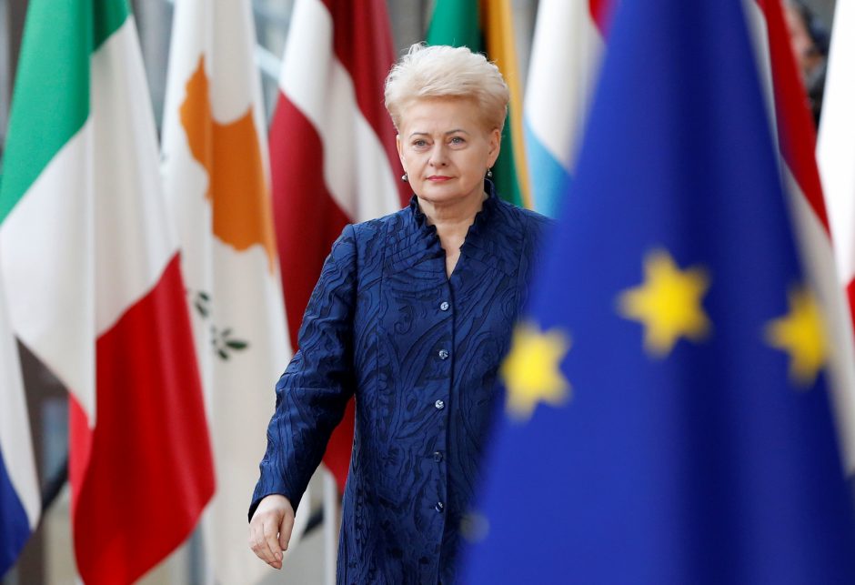 D. Grybauskaitė: reikia nuspręsti, ar didinti ES biudžetą, ar mažinti išlaidas