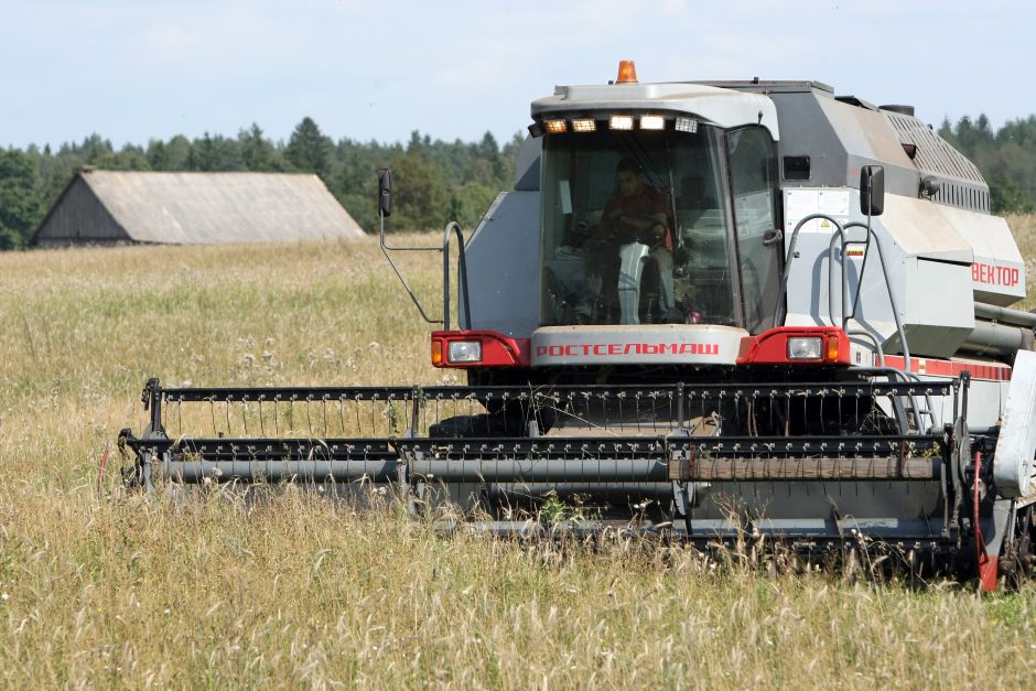 Prasideda pasėlių deklaravimas