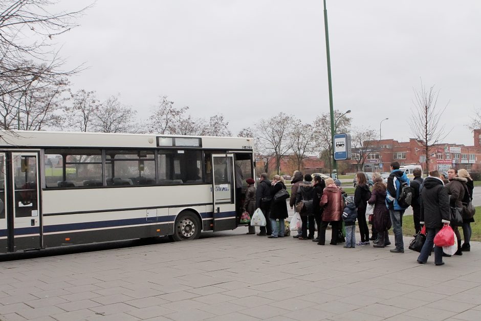 Nelegalūs vežėjai uostamiestyje – visų bėda