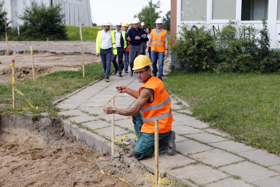 Sąjūdžio parke – darbų įkarštis