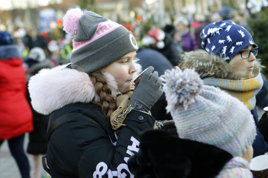 Pamatykite pirmieji: Atgimimo aikštėje išdygo eglučių miškas