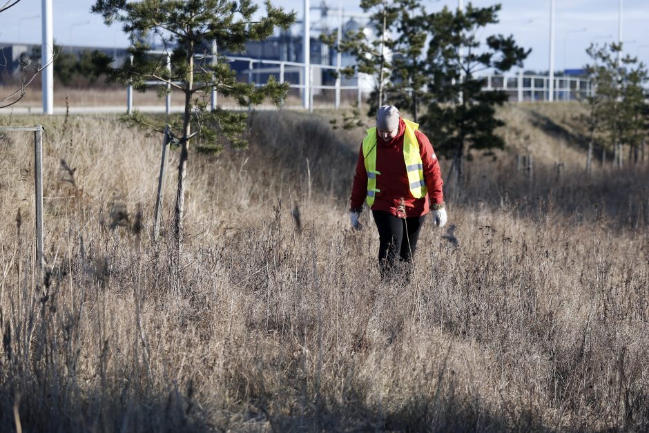 Dingusio 17-mečio ieško kelios dešimtys entuziastų iš Latvijos