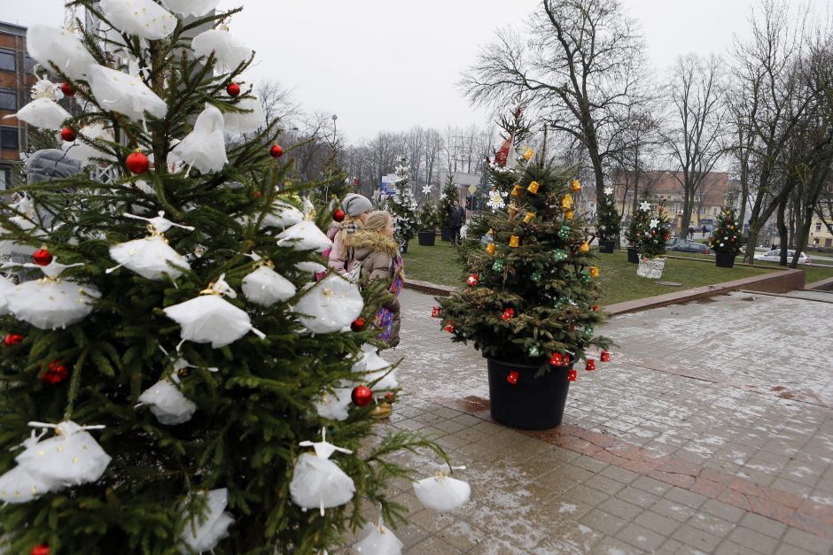 100 eglučių papuošė atgimimo aikštę