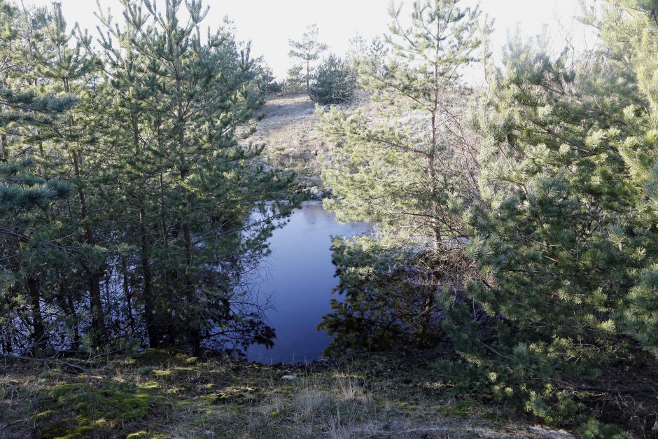 Kopose tyvuliuoja vandens telkinys