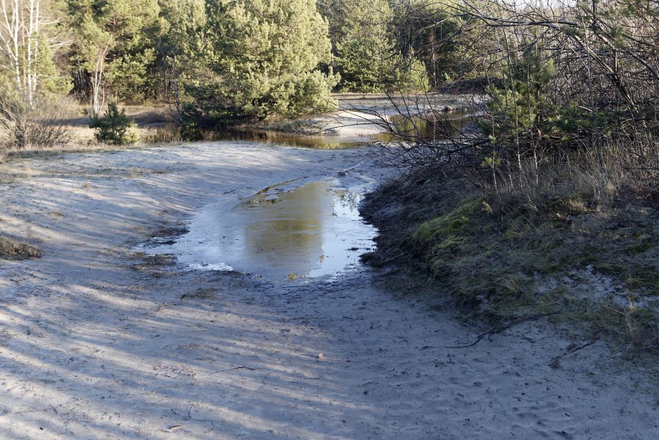 Kopose tyvuliuoja vandens telkinys