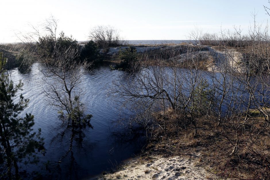 Kopose tyvuliuoja vandens telkinys