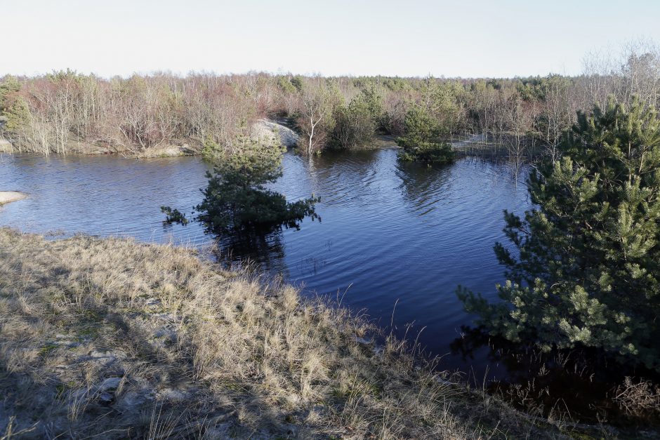 Kopose tyvuliuoja vandens telkinys