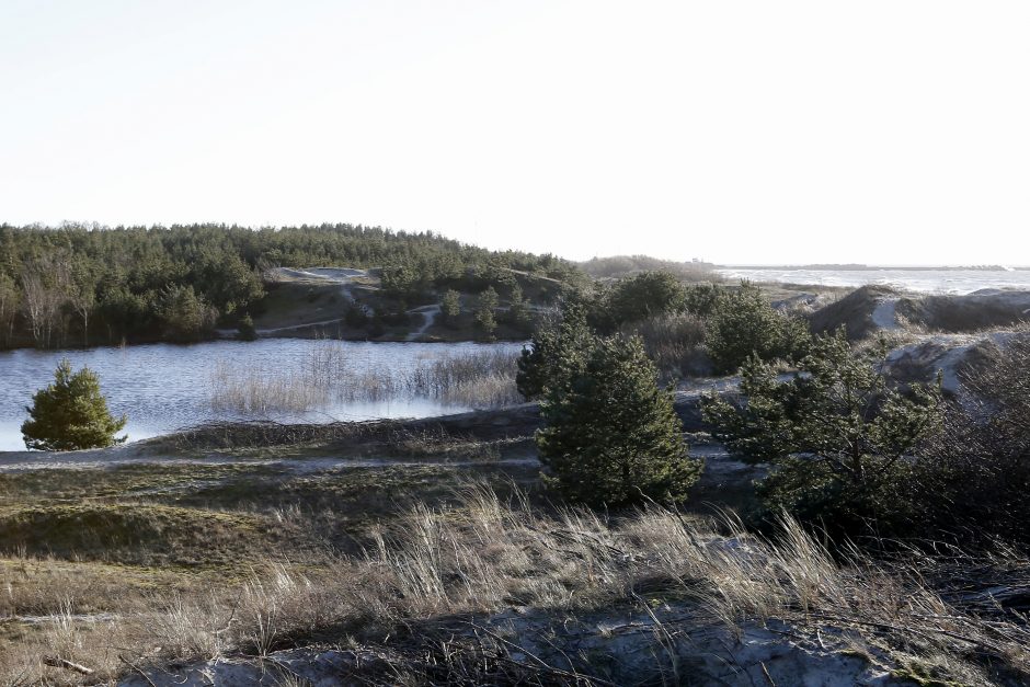 Kopose tyvuliuoja vandens telkinys