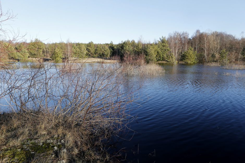 Kopose tyvuliuoja vandens telkinys