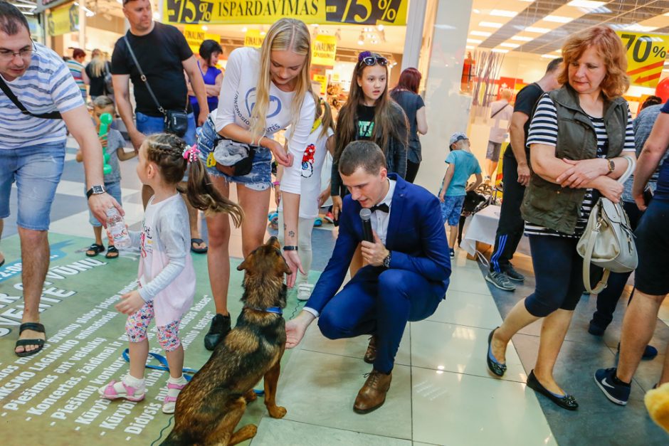 Šventėje žavėjo gyvūnų pasirodymai