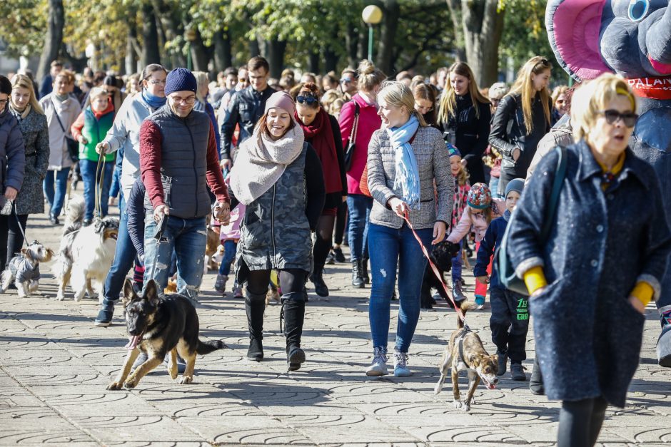 Klaipėdos centre vienuolis šventino gyvūnus ir jų šeimininkus