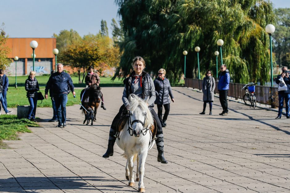 Klaipėdos centre vienuolis šventino gyvūnus ir jų šeimininkus