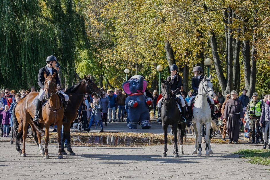 Klaipėdos centre vienuolis šventino gyvūnus ir jų šeimininkus