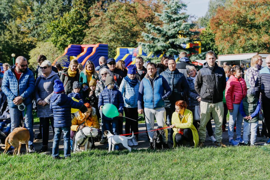 Klaipėdos centre vienuolis šventino gyvūnus ir jų šeimininkus