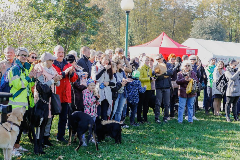 Klaipėdos centre vienuolis šventino gyvūnus ir jų šeimininkus