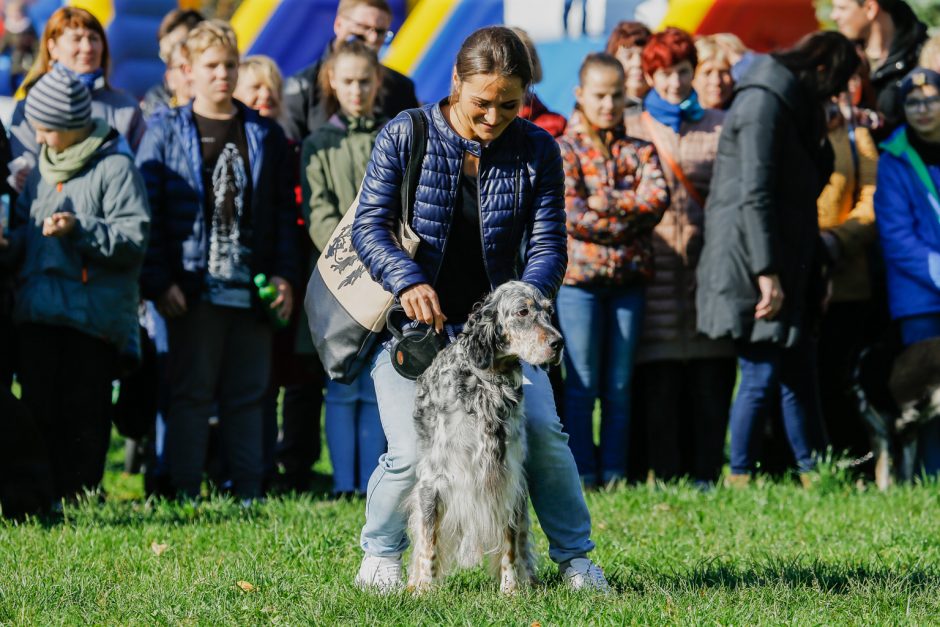 Klaipėdos centre vienuolis šventino gyvūnus ir jų šeimininkus