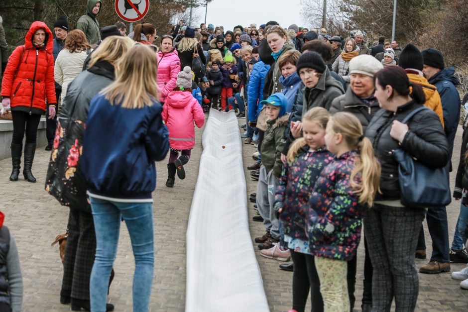 Palangiškiai varžėsi margučių ridenimo čempionate