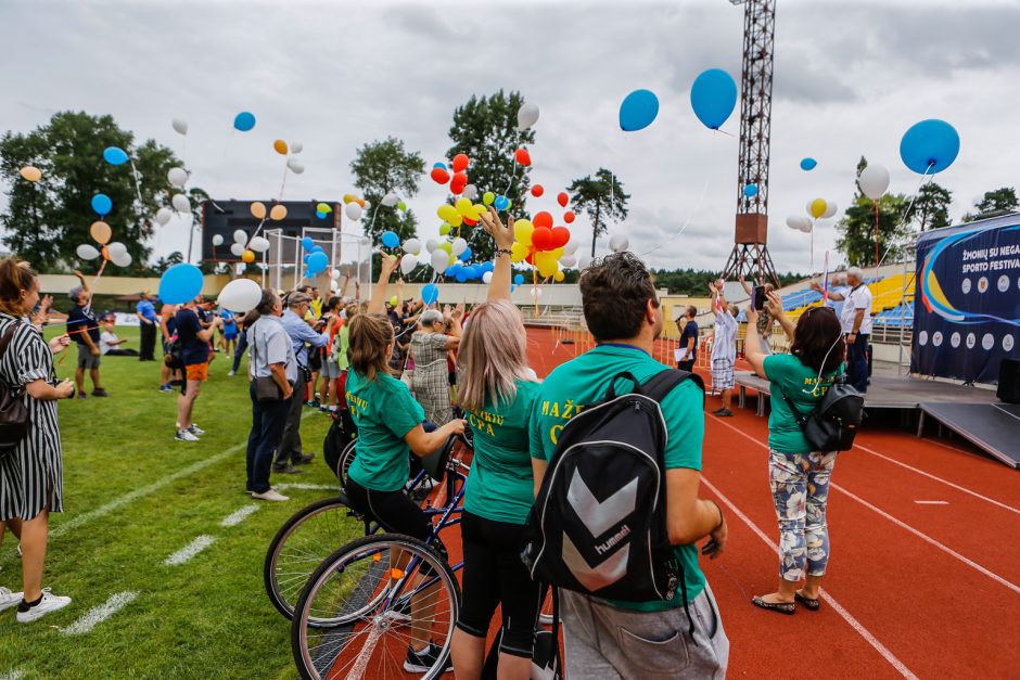 Žmonių su negalia sporto festivalis