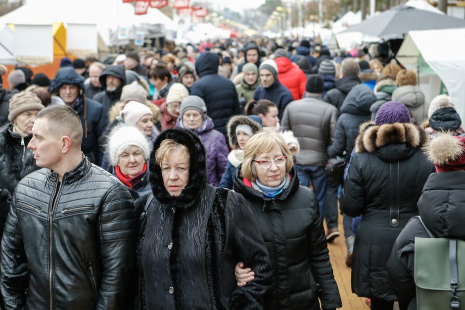 Palanga pakvipo stintomis: kainos jau nebebaugina