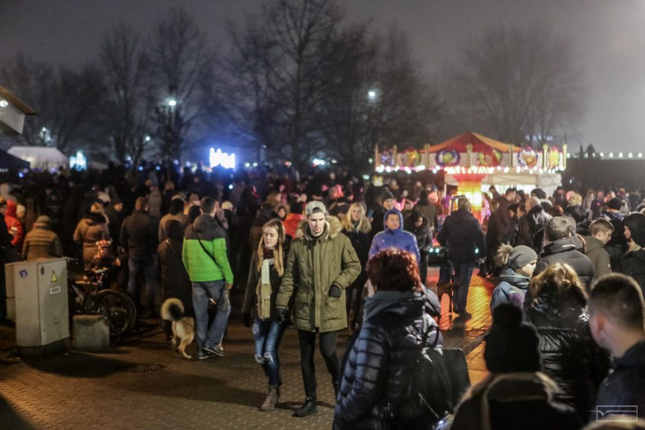 Klaipėdos senamiestyje žygiavo šviečiantys keturkojai