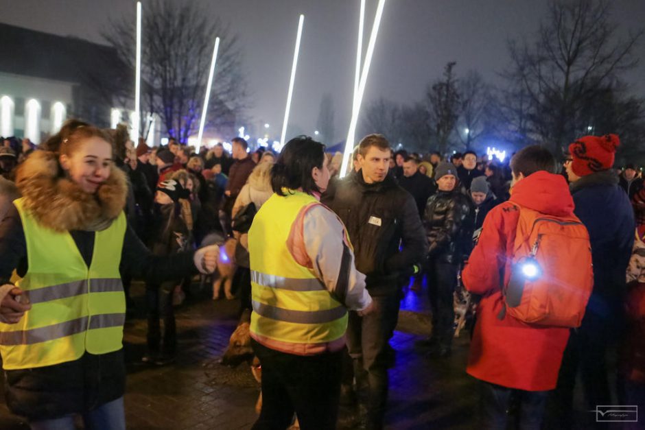 Klaipėdos senamiestyje žygiavo šviečiantys keturkojai