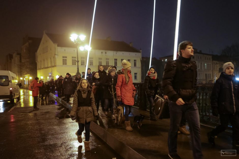 Klaipėdos senamiestyje žygiavo šviečiantys keturkojai