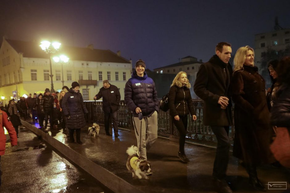 Klaipėdos senamiestyje žygiavo šviečiantys keturkojai