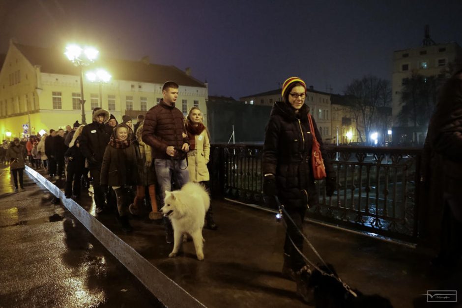 Klaipėdos senamiestyje žygiavo šviečiantys keturkojai