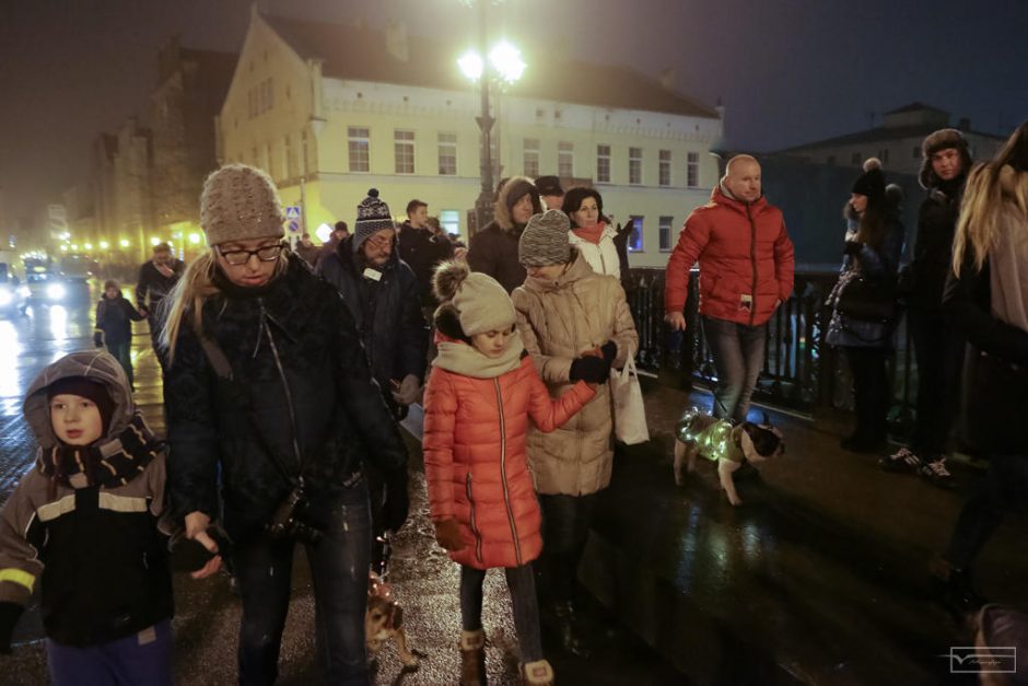 Klaipėdos senamiestyje žygiavo šviečiantys keturkojai